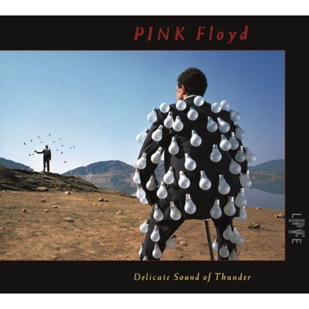 Pink Floyd - Delicate Sound Of Thunder (Live)